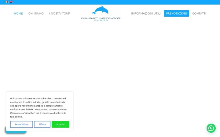 Screenshot of avvistamentodelfiniolbia.it