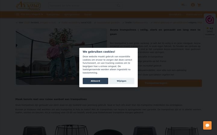 Screenshot of avyna-shop.nl