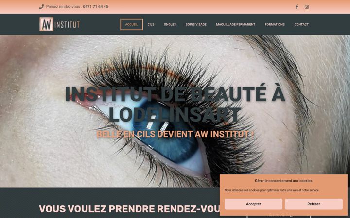 Screenshot of aw-institut.be