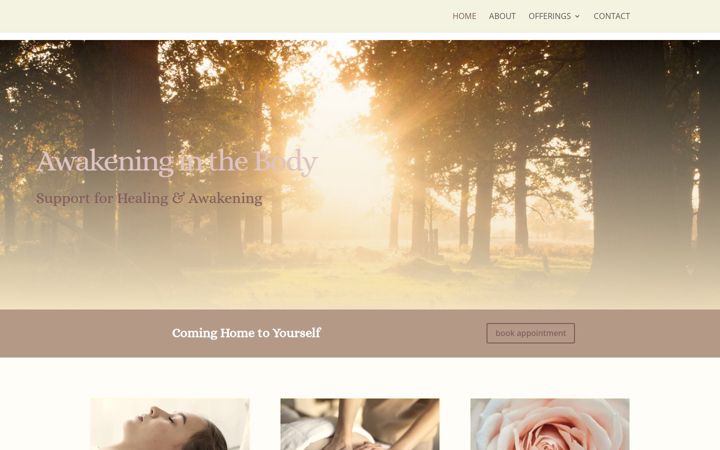 Screenshot of awakeninginthebody.com