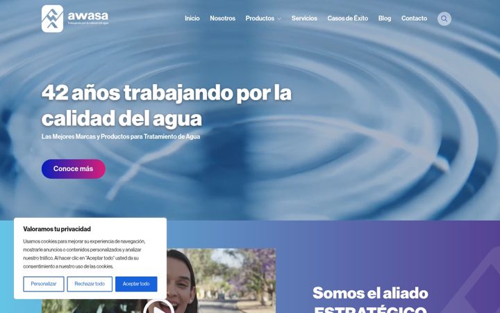 Screenshot of awasa.com.mx
