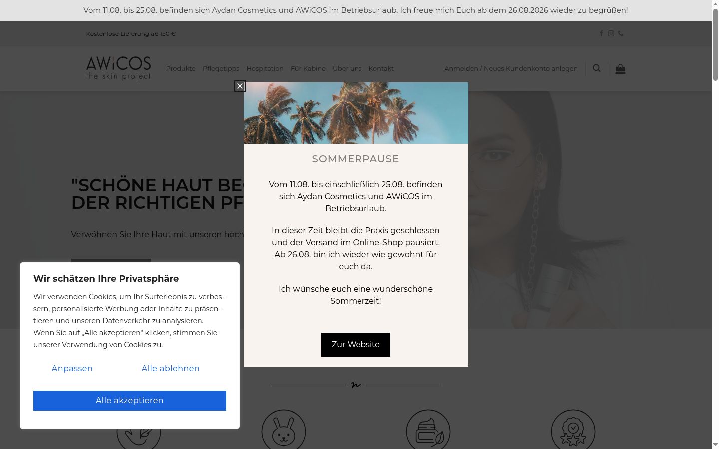 Skærmbillede af samtykkebanneret, som det blev vist før nogen interaktion