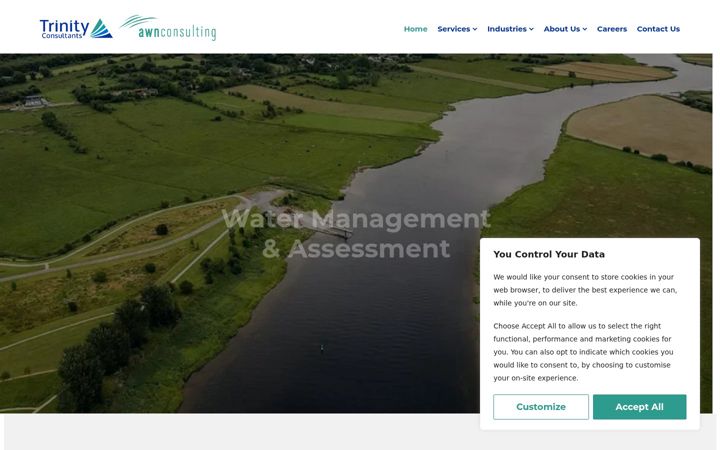 Screenshot of awnconsulting.com