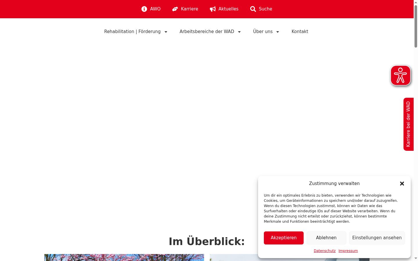 Sutikimo reklamjuostės, rodytos prieš bet kokią sąveiką, ekrano kopija