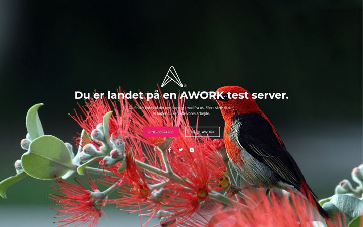 Screenshot of awork20.dk