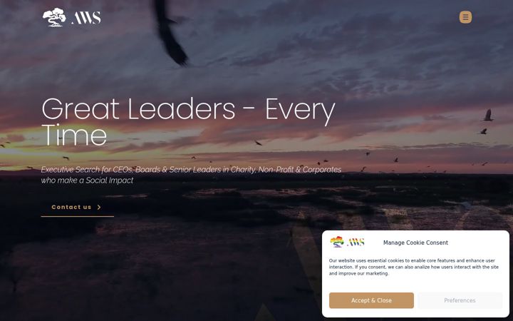 Screenshot of awsexecutive.com