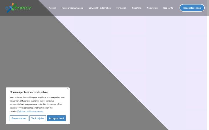 Screenshot ta' ax-energy.fr