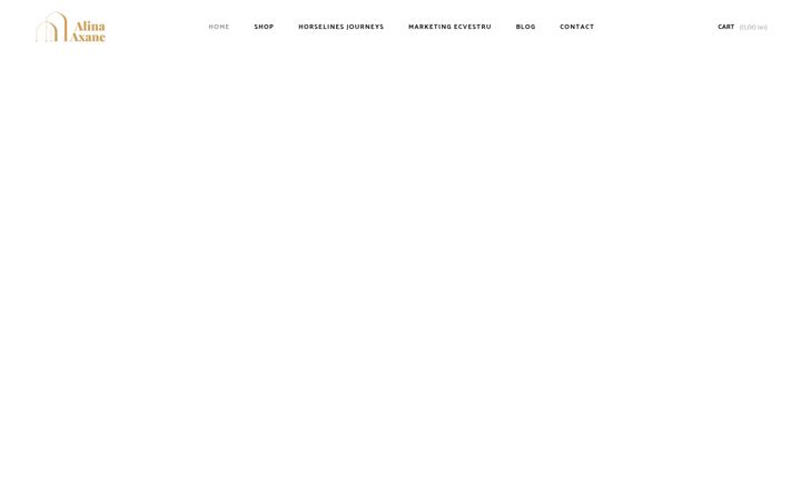 Screenshot of axane.ro