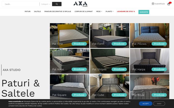 Screenshot of axastudio.ro