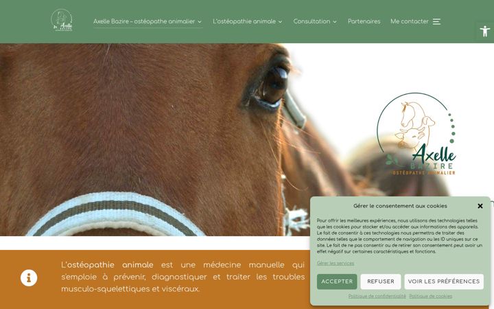 Screenshot of axellebazire-osteoanimalier.fr