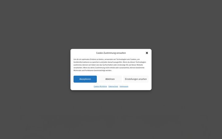 Screenshot of axelseeger.com