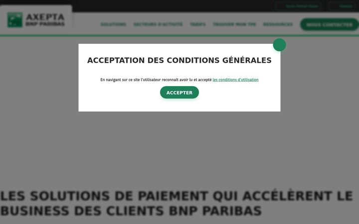 Screenshot of axepta.bnpparibas