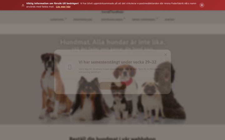 Screenshot of axess.nu