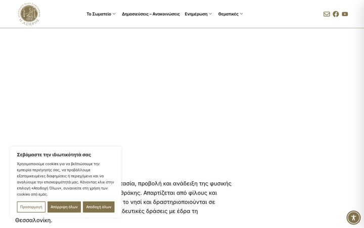 Zrzut ekranu axieros.gr