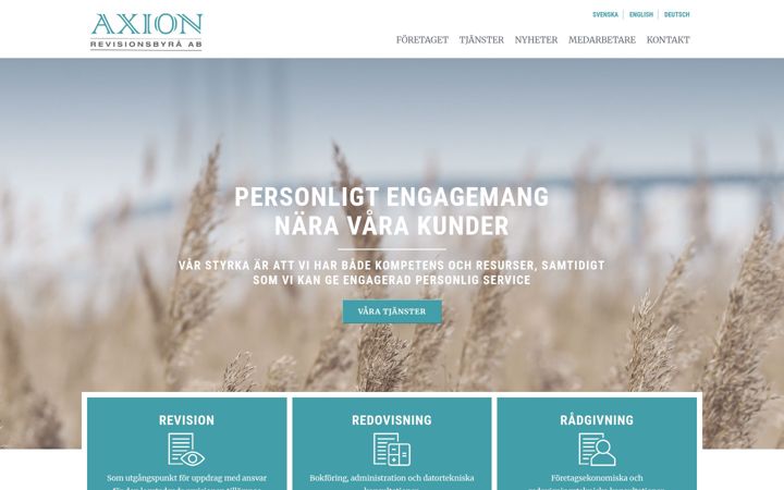 Screenshot of axion.se