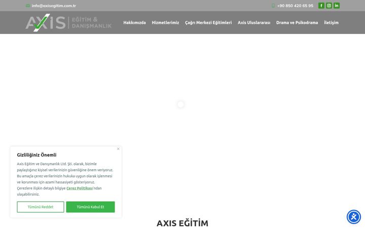 Screenshot of axisegitim.com.tr