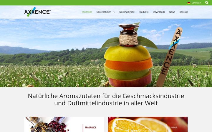 Screenshot of axxence.de