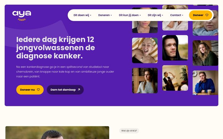 Екранна снимка на ayafonds.nl