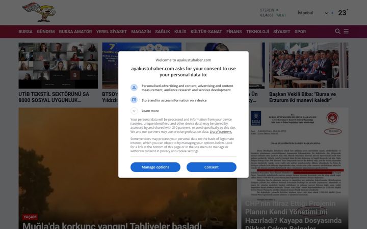 Screenshot of ayakustuhaber.com