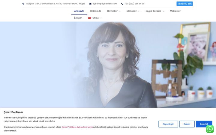 Screenshot of aybalaakil.com