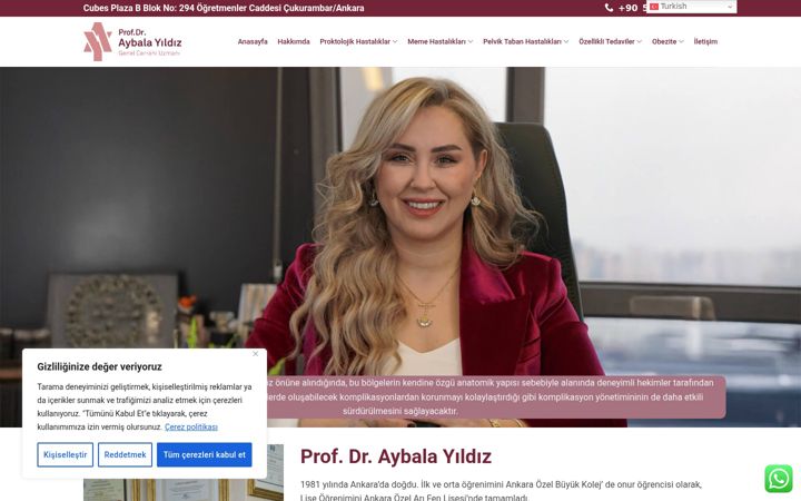 Screenshot of aybalayildiz.com