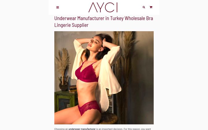 Screenshot of ayciwholesale.com