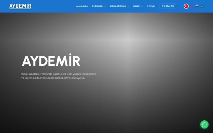 Screenshot of aydemirmakine.com