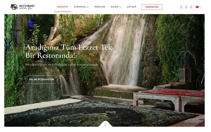 Screenshot of ayderrestaurant.com