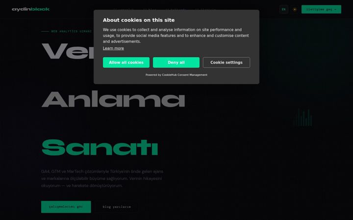Screenshot of aydinblack.com