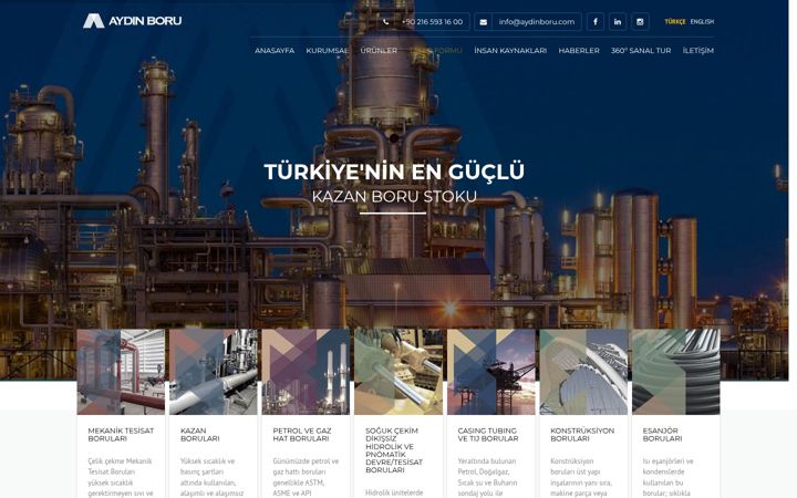 Screenshot of aydinboru.com