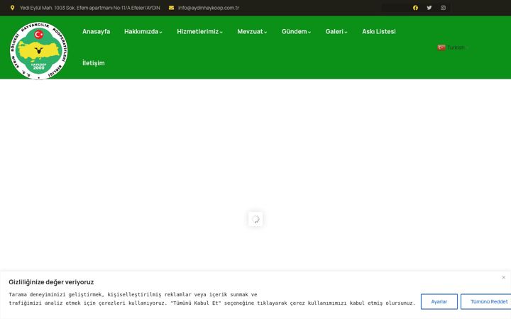 Screenshot of aydinhaykoop.com.tr