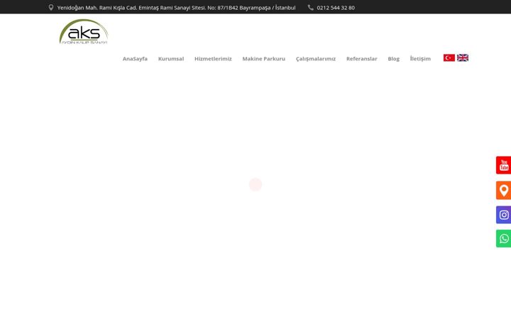 Screenshot of aydinkalipsanayi.com
