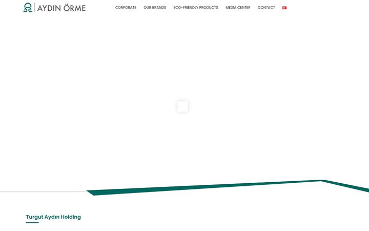 Screenshot of aydinorme.com.tr
