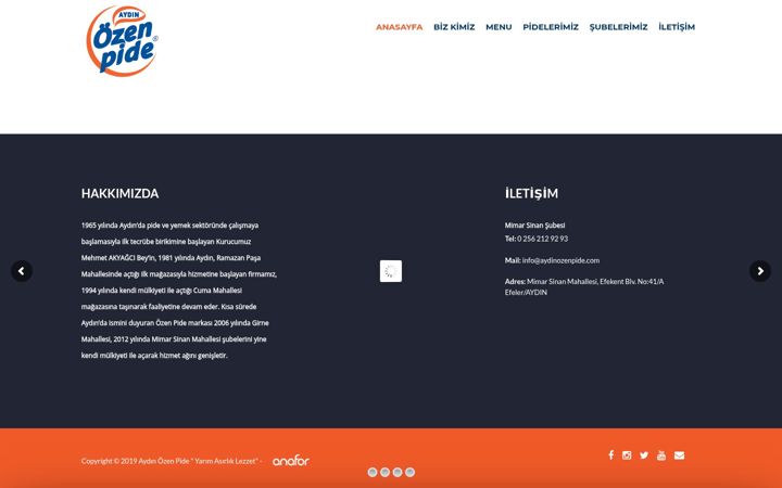 Screenshot of aydinozenpide.com