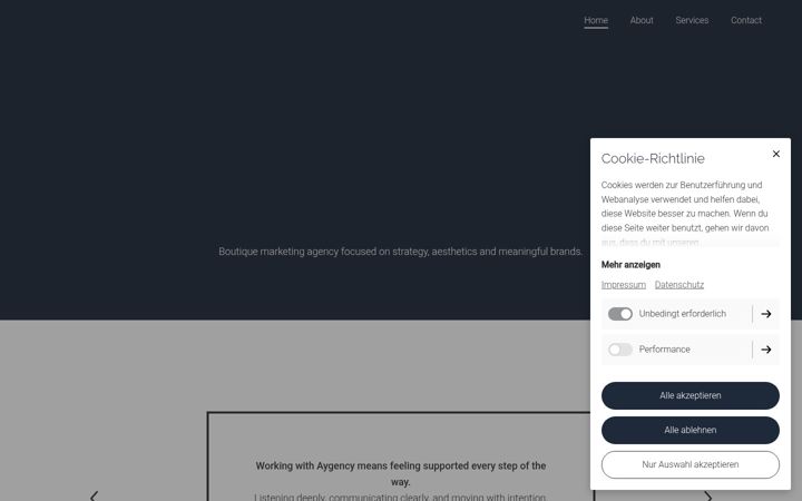 Screenshot of aygency.at