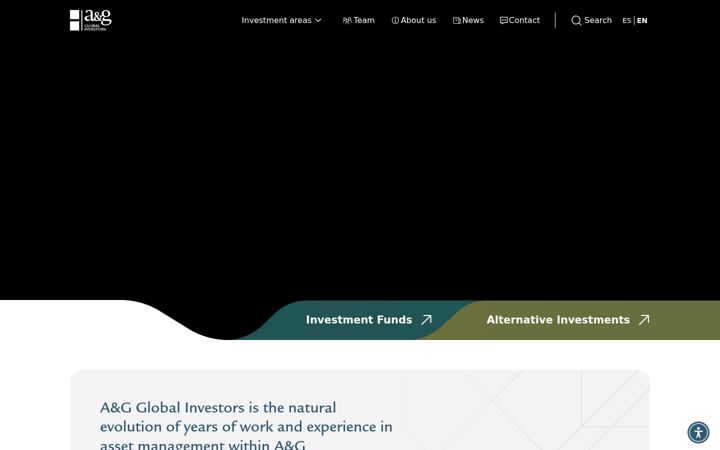 Screenshot of aygglobalinvestors.com
