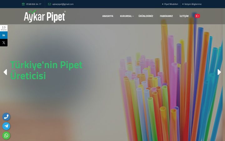 Screenshot of aykarpipet.com