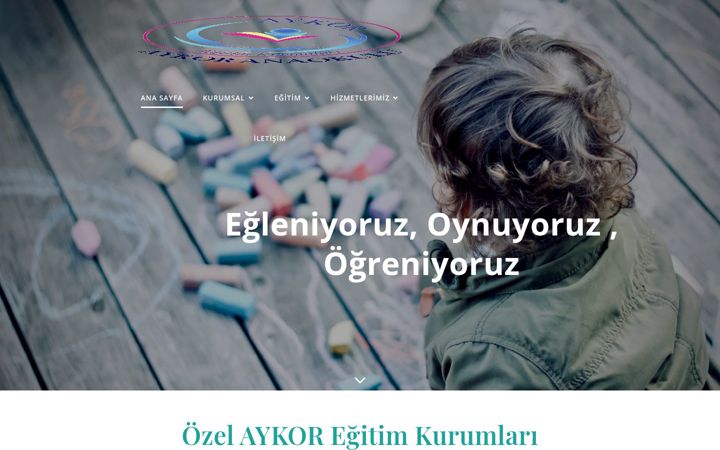 Screenshot of aykoranaokulu.com