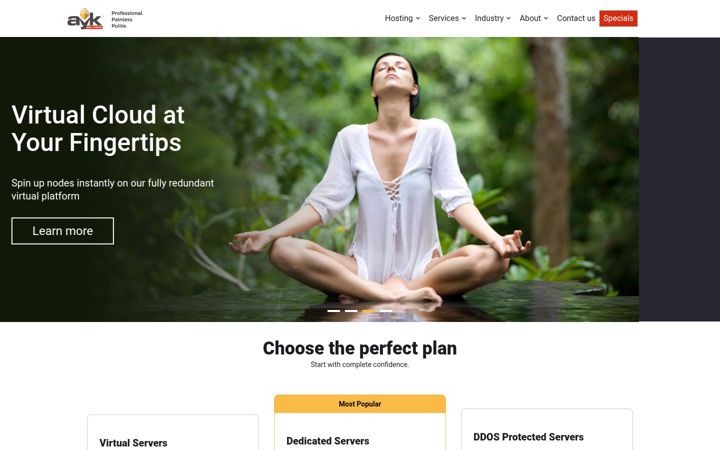 Screenshot of ayksolutions.com