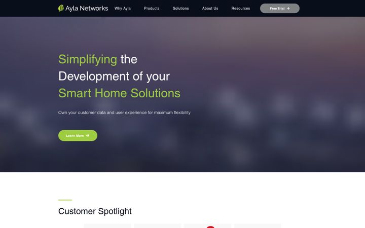Zrzut ekranu aylanetworks.com