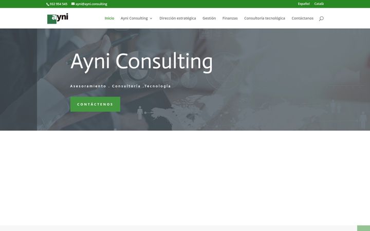 Screenshot of ayni.consulting