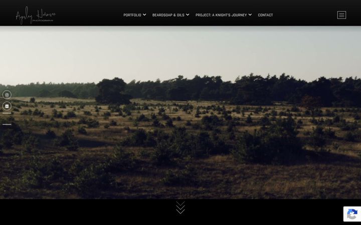 Screenshot of aynsleyhermsen.nl