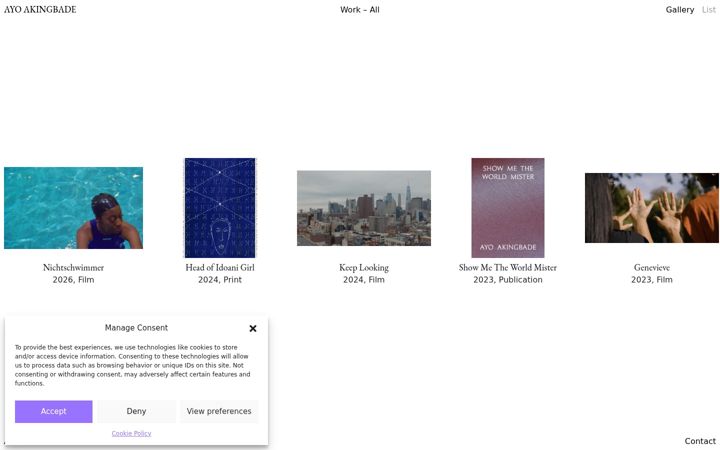 Screenshot of ayoakingbade.com