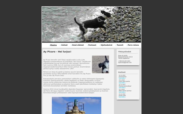 Екранна снимка на aypicaro.net