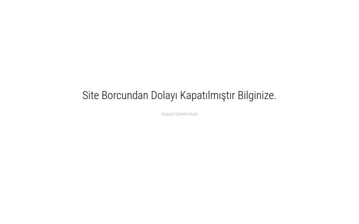 Screenshot of aysegulgultekinbutik.com