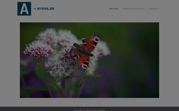 Screenshot of aysha.de