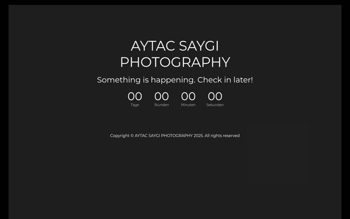 Screenshot of aytacsaygi.de
