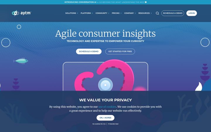 Screenshot of aytm.com