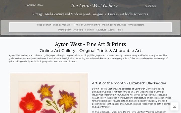 Screenshot of aytonwestgallery.co.uk