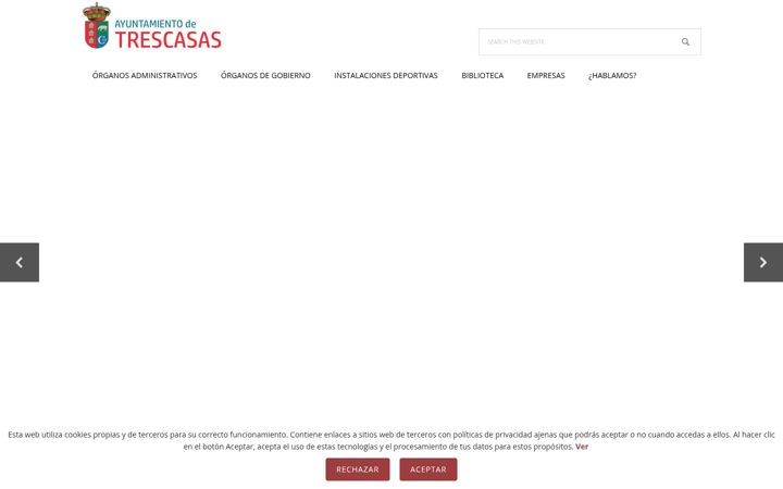 Screenshot of aytotrescasas.es